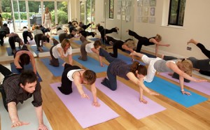 Yoga Tuition - Group Class in Weybridge Elmbridge